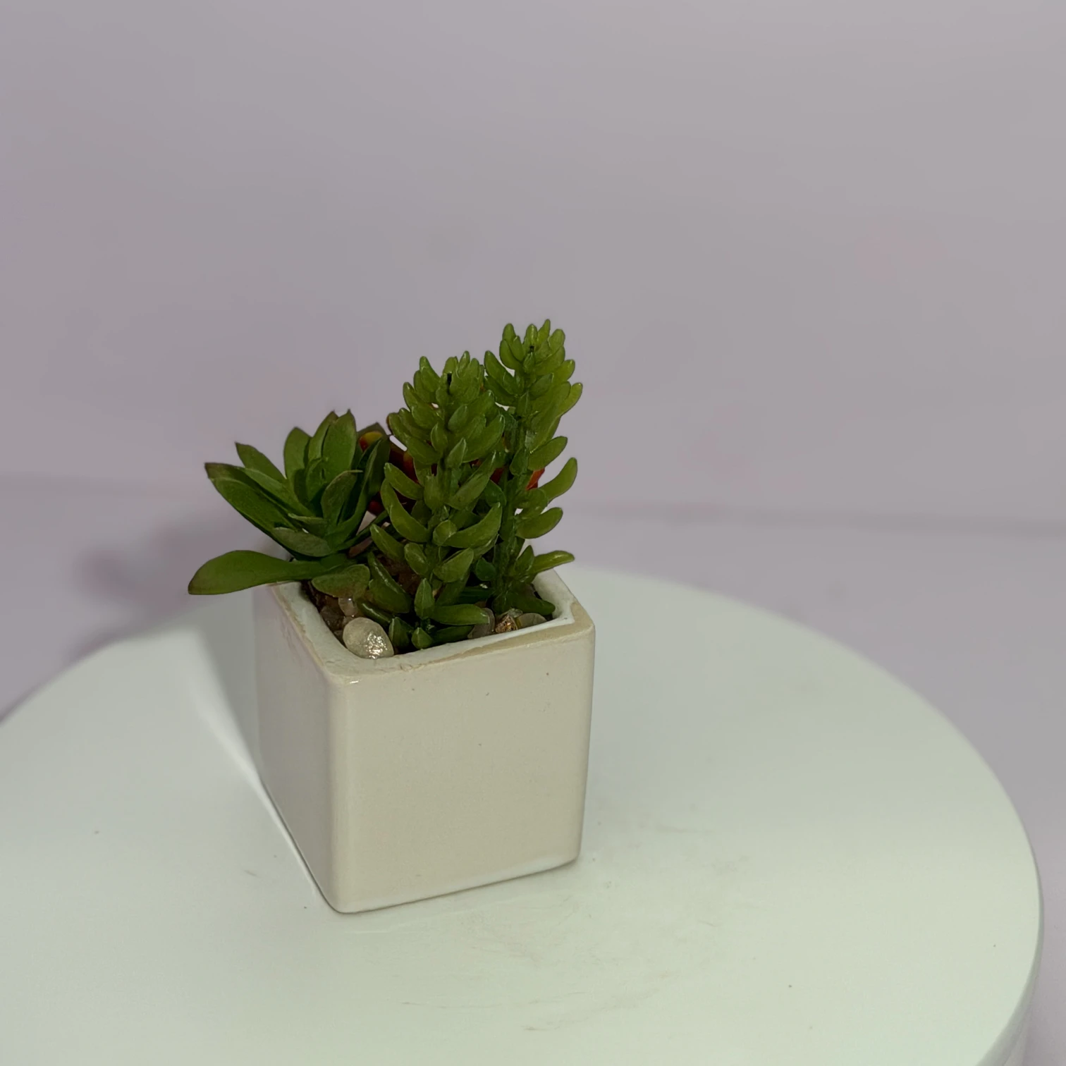 DR0120 (2) - Modern Fake Succulent Decor