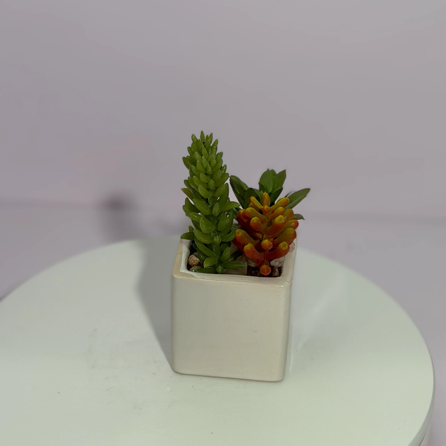 DR0120 (3) - Modern Fake Succulent Decor