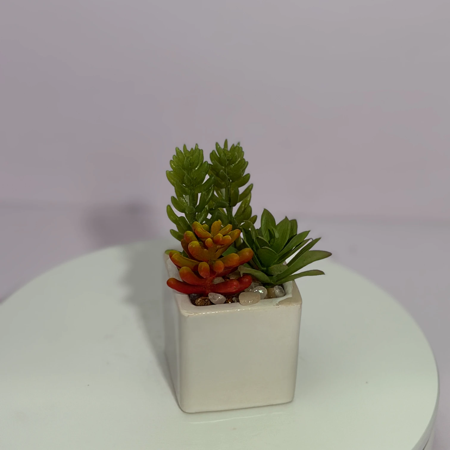 DR0120 (4) profile - Modern Fake Succulent Decor