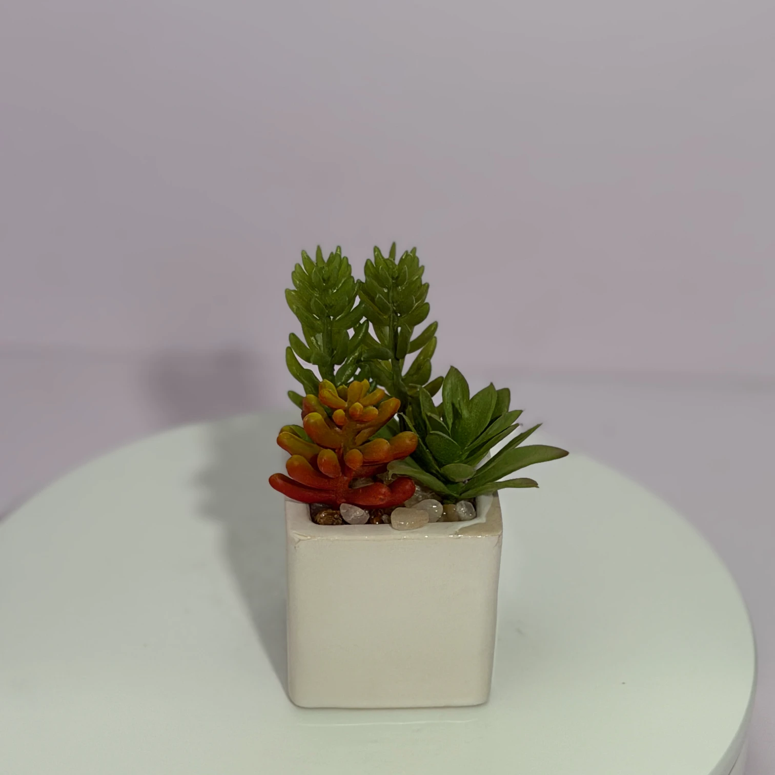 DR0120 (6) - Modern Fake Succulent Decor