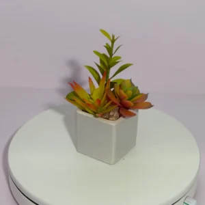 DR0123 (1) profile - Small Fake Succulent for Shelf