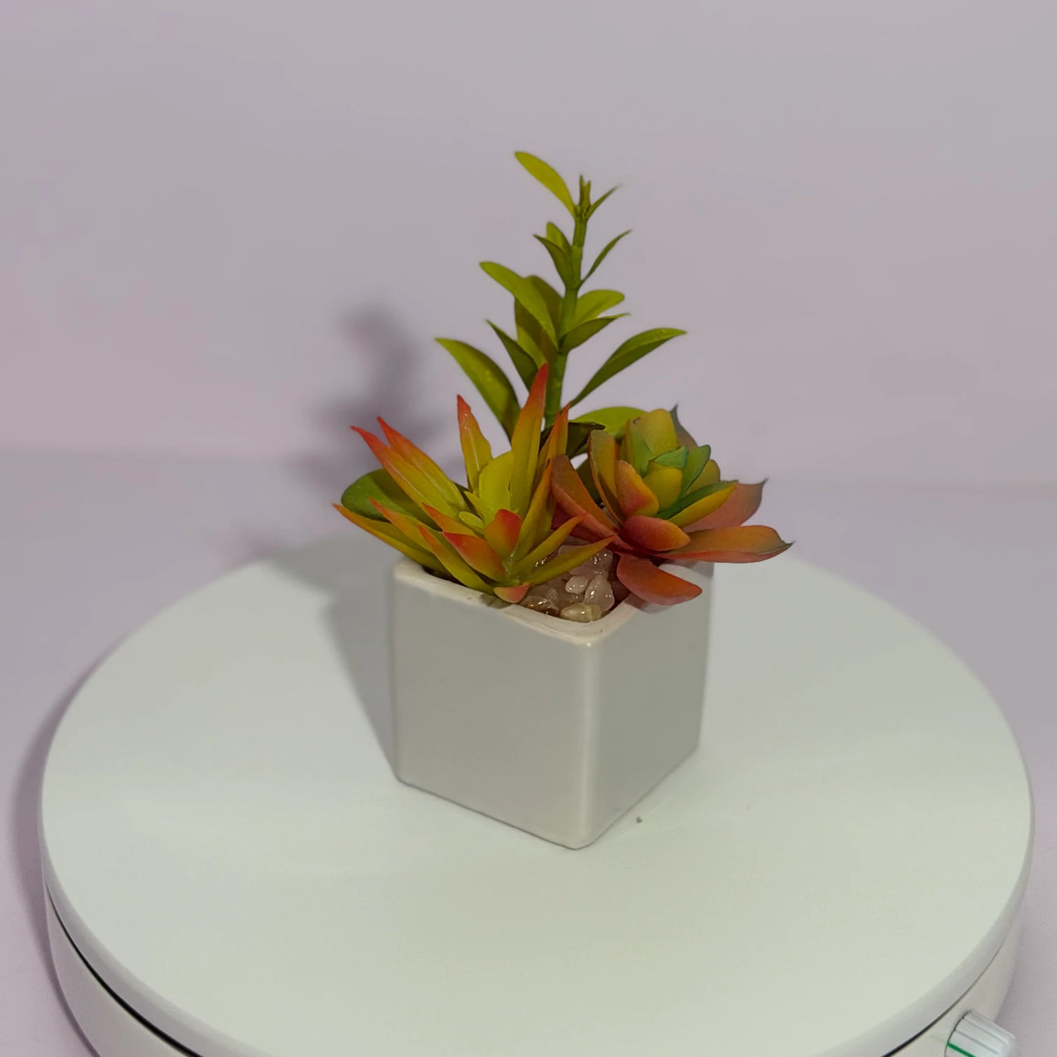 DR0123 (1) profile - Small Fake Succulent for Shelf