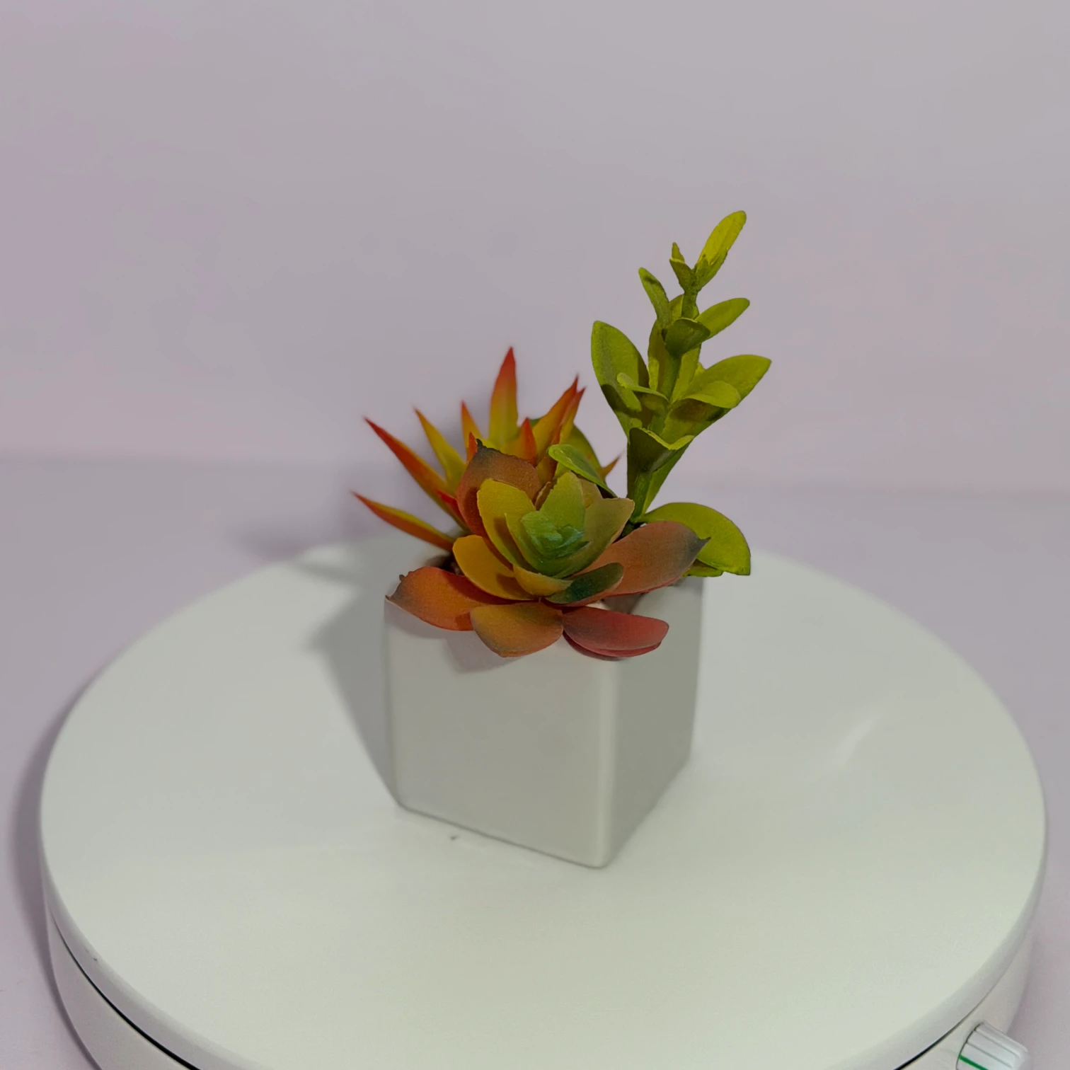 DR0123 (2) - Small Fake Succulent for Shelf