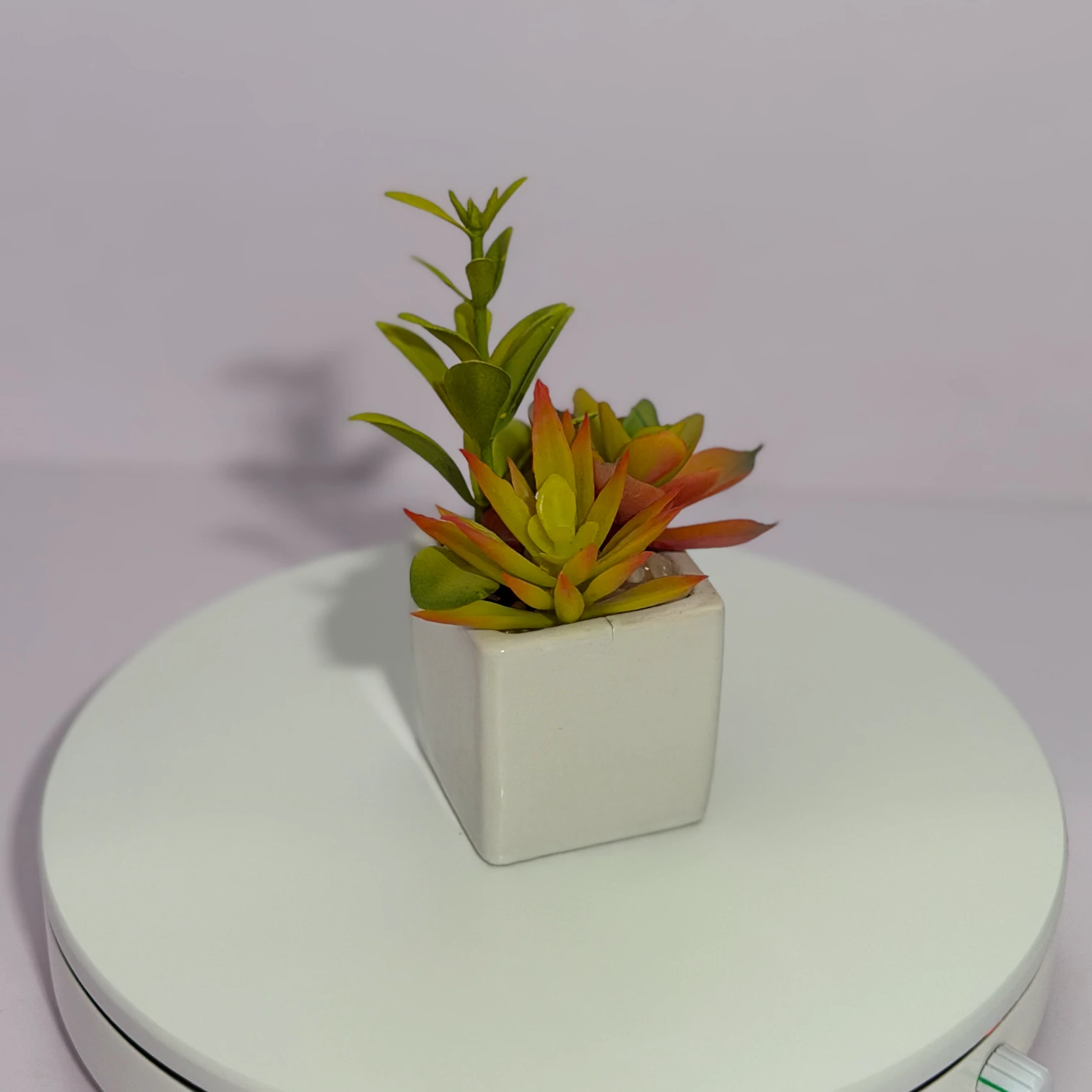 DR0123 (4) - Small Fake Succulent for Shelf