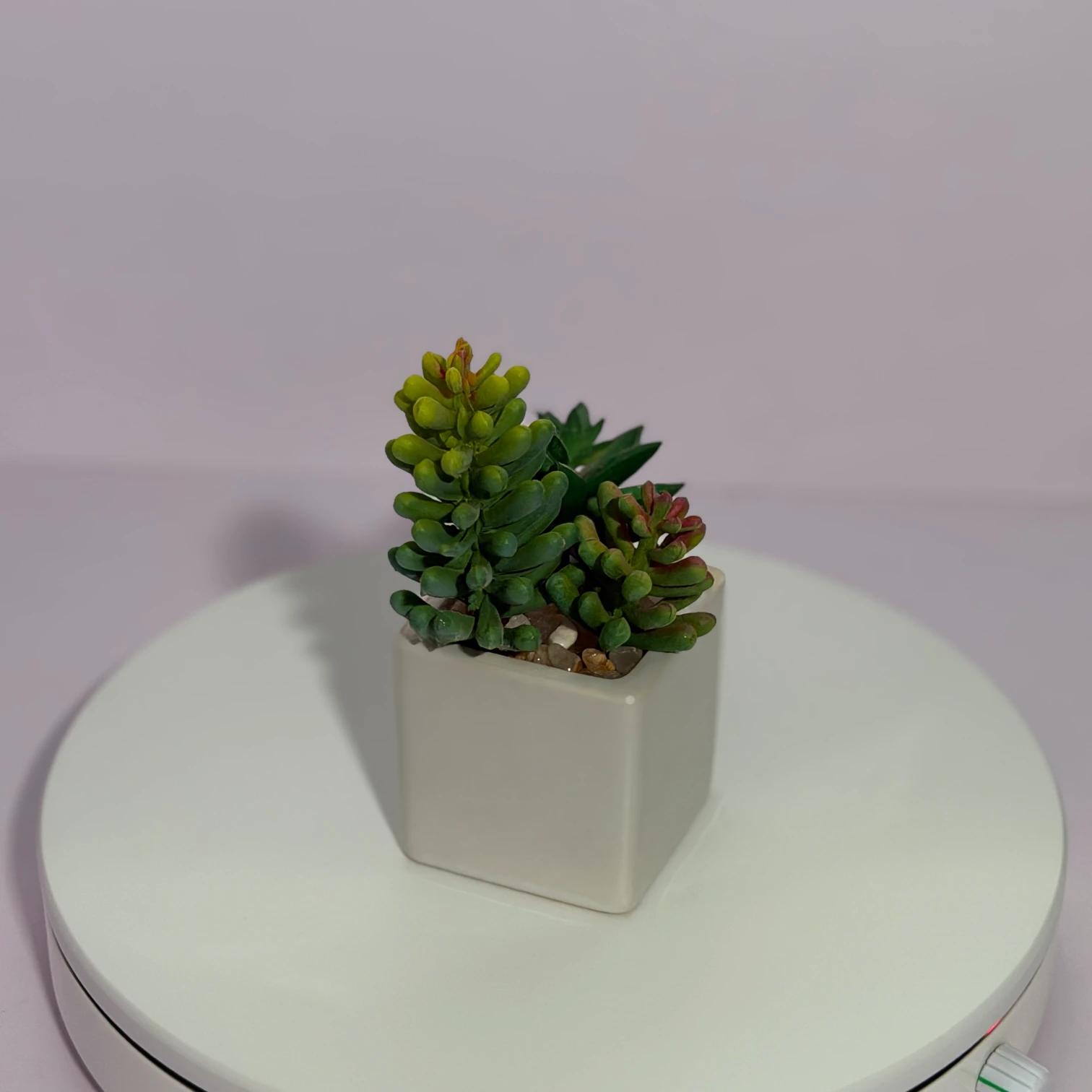 DR0124 (2) - Real Touch Succulent Arrangement