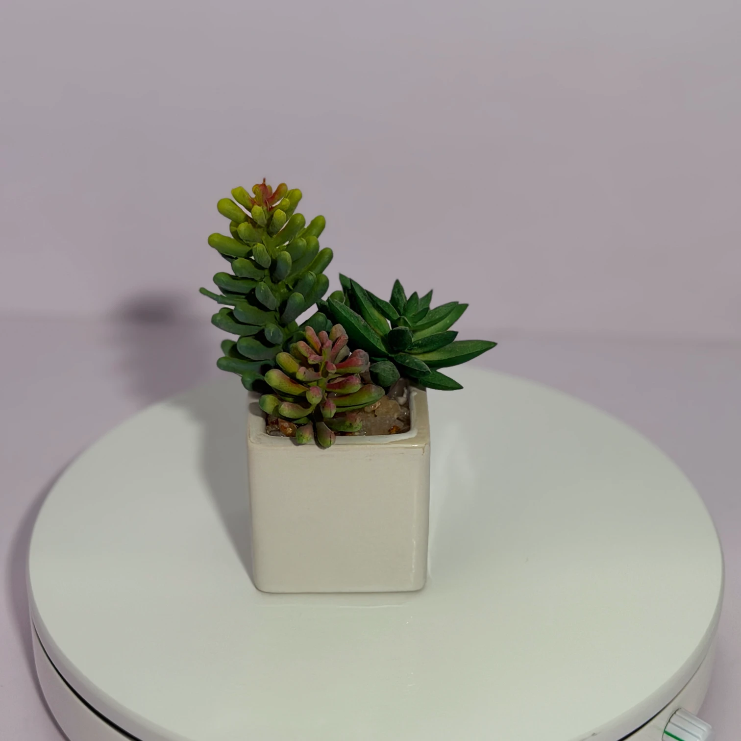 DR0124 (3) - Real Touch Succulent Arrangement
