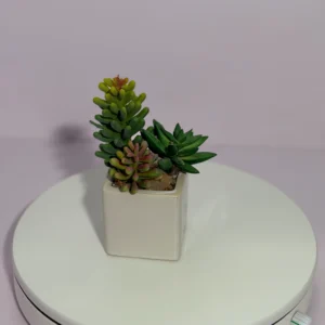 DR0124 (4) profile - Real Touch Succulent Arrangement