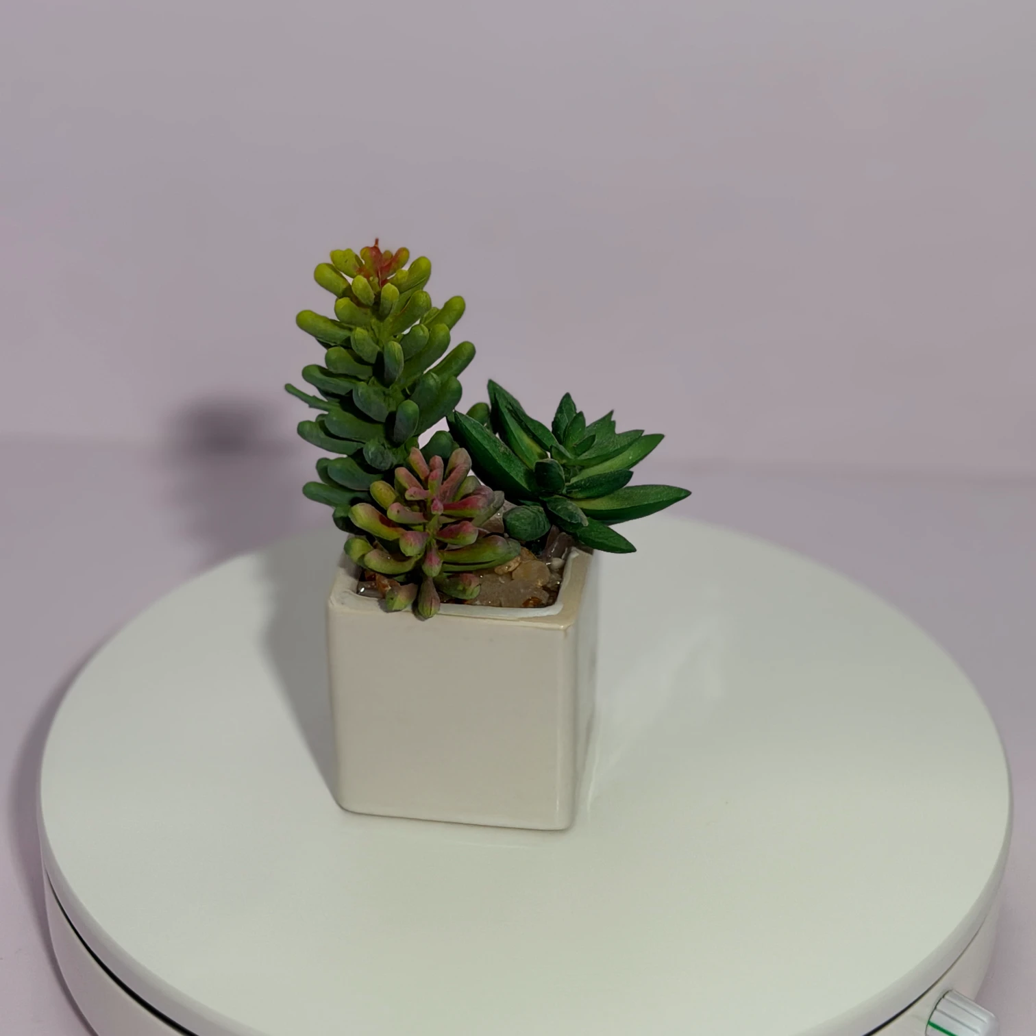 DR0124 (4) profile - Real Touch Succulent Arrangement