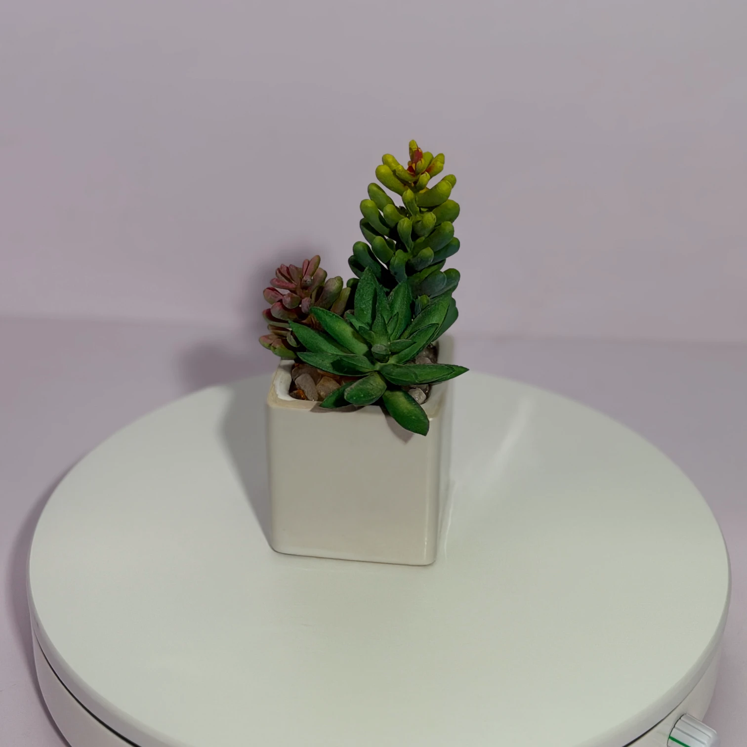 DR0124 (5) - Real Touch Succulent Arrangement