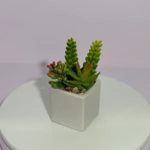 DR0125 (1) profile - Indoor Artificial Succulent
