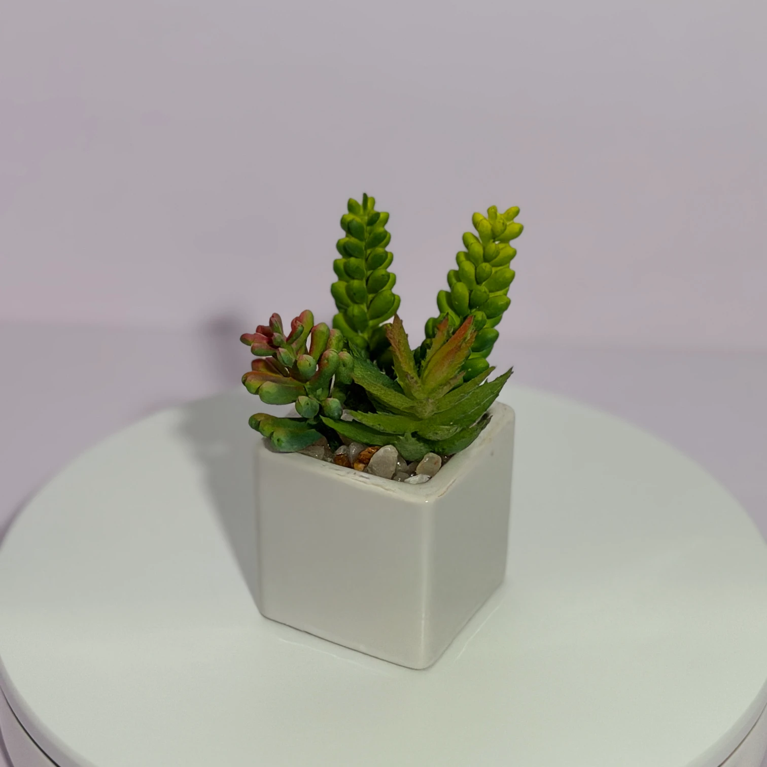 DR0125 (1) profile - Indoor Artificial Succulent