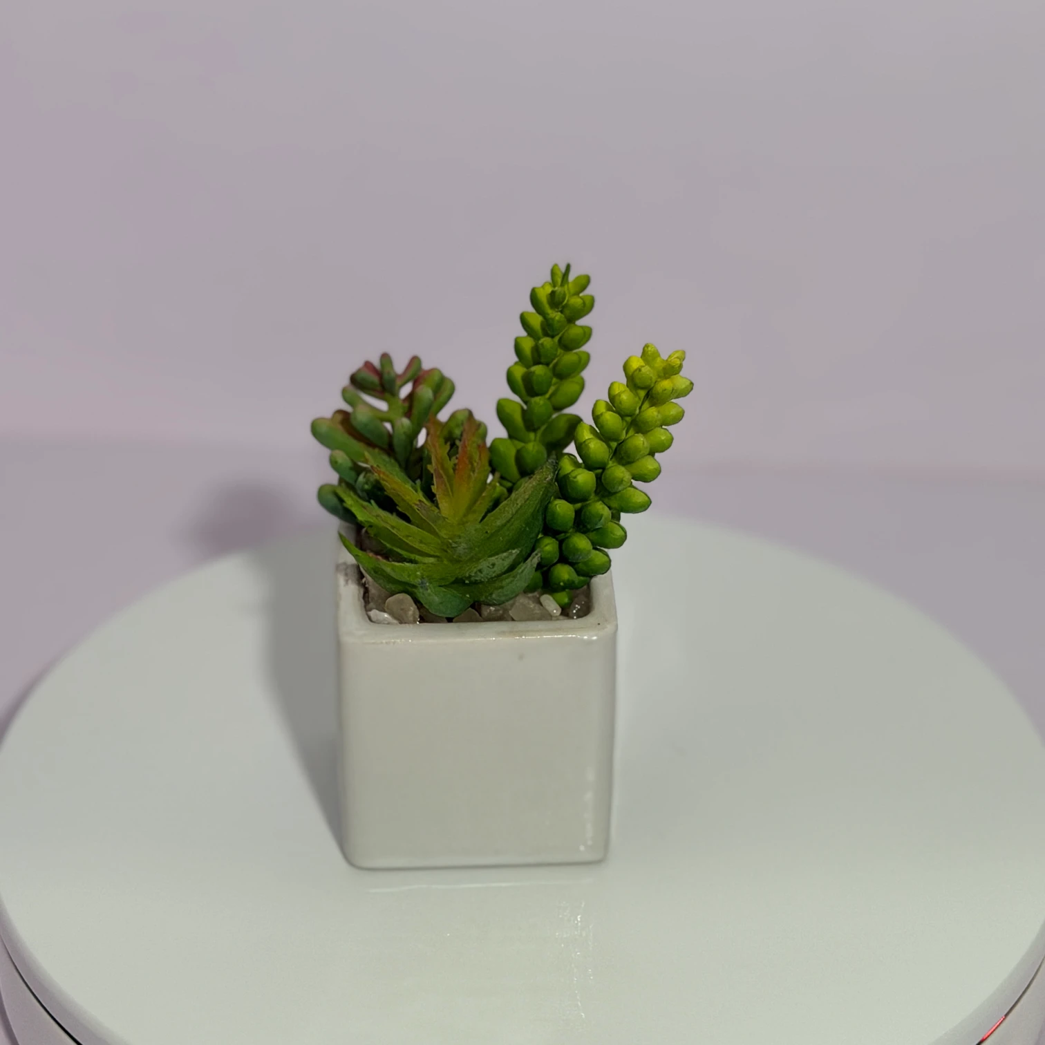 DR0125 (2) - Indoor Artificial Succulent