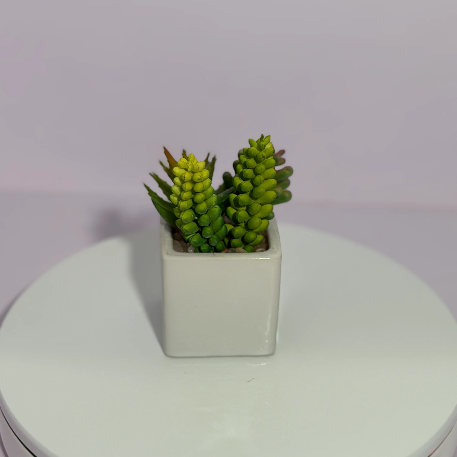 DR0125 (3) - Indoor Artificial Succulent