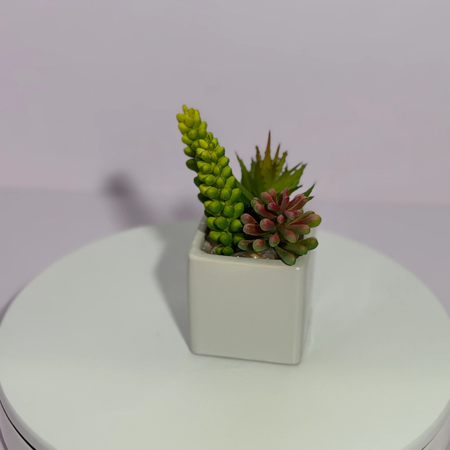 DR0125 (4) - Indoor Artificial Succulent