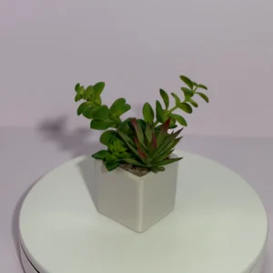 DR0126 (1) profile - Faux Succulent Centerpiece