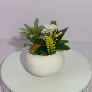 DR0128 (2) profile - Realistic Succulent Mix