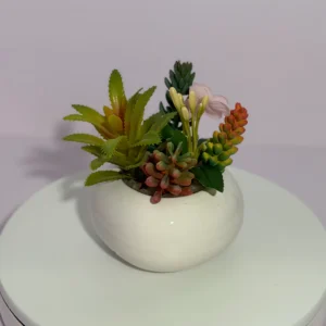 DR0129 (1) profile - Mini Artificial Succulent Decor