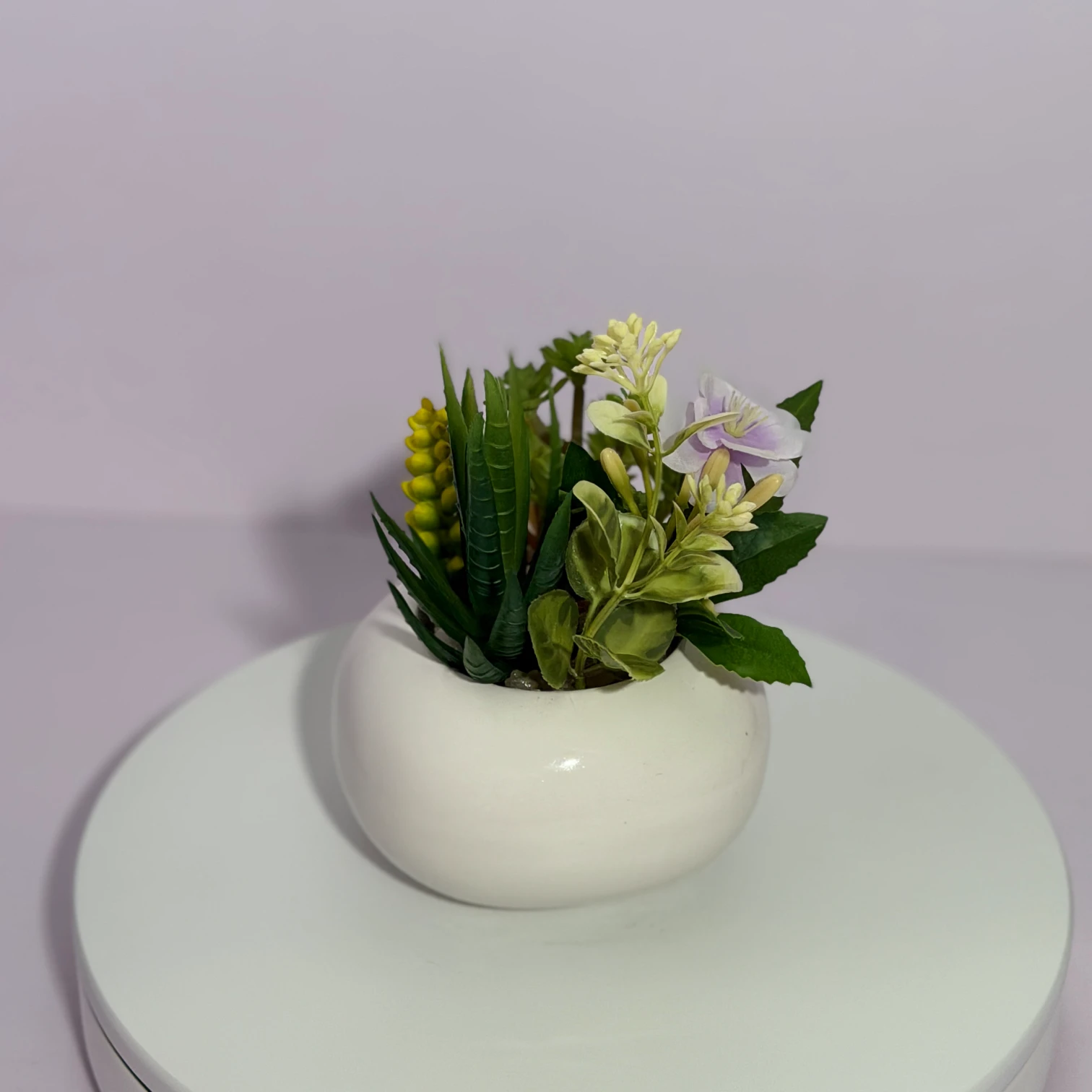 DR0130 (1) - Faux Succulent in Grey Pot