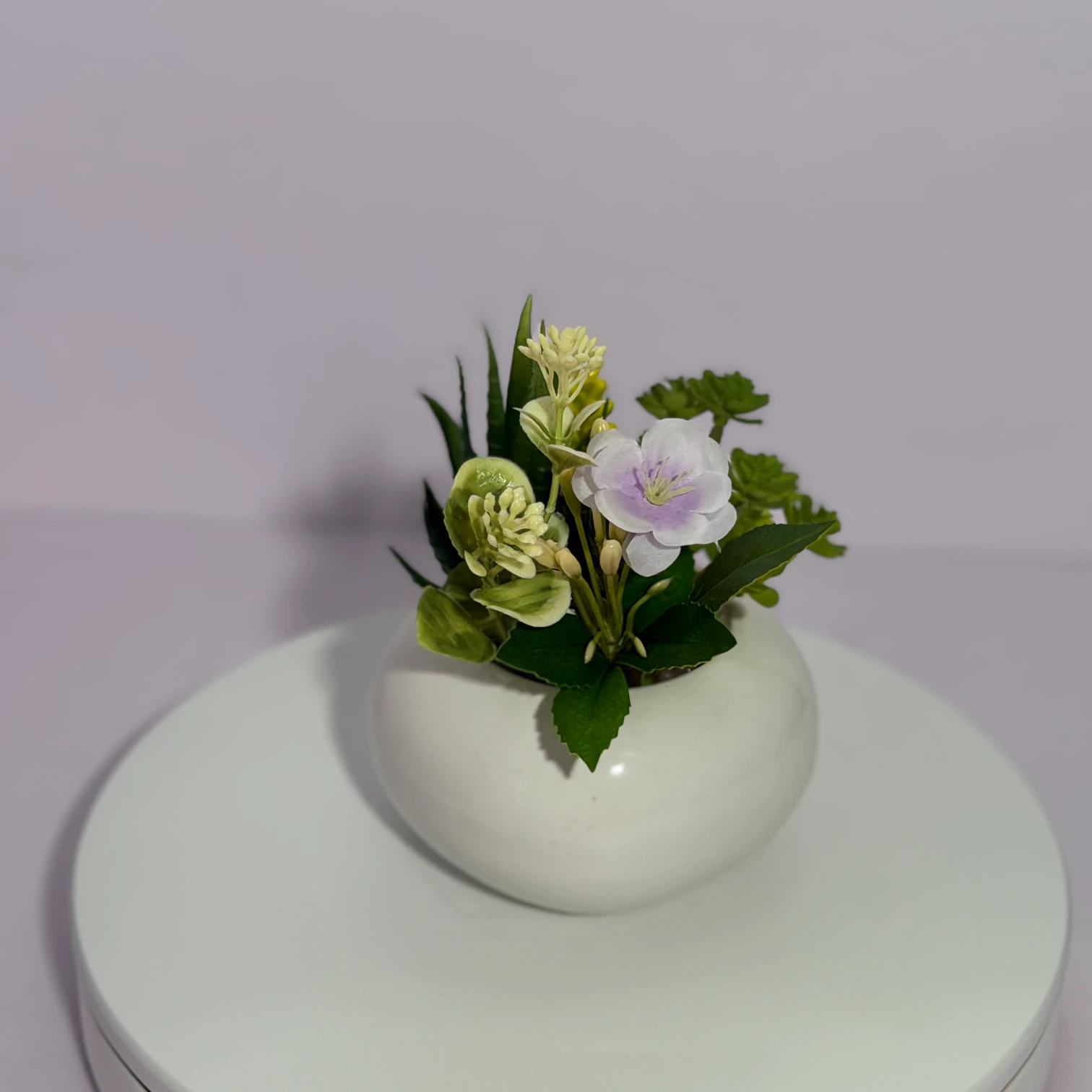 DR0130 (2) profile - Faux Succulent in Grey Pot