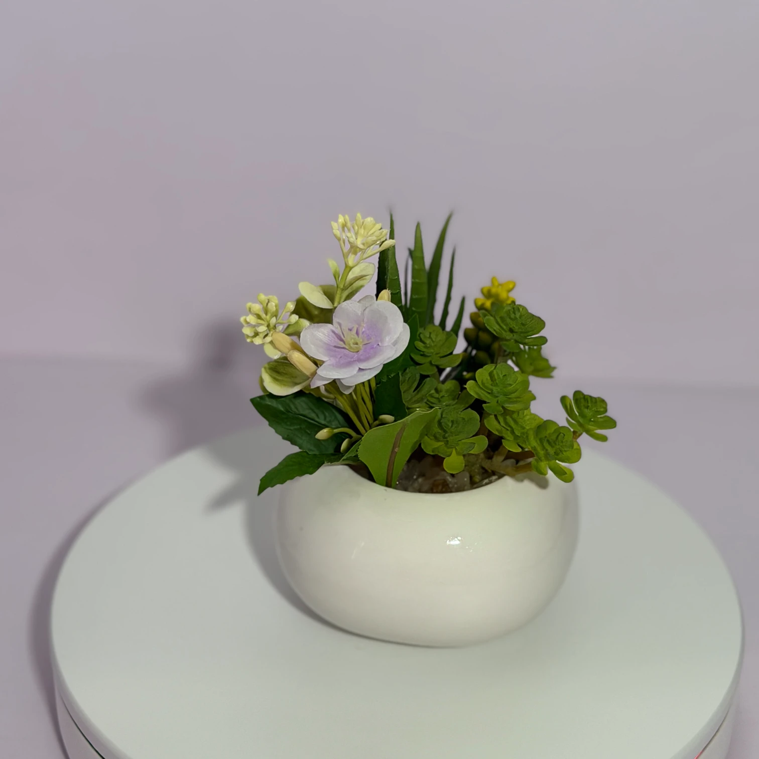 DR0130 (3) - Faux Succulent in Grey Pot