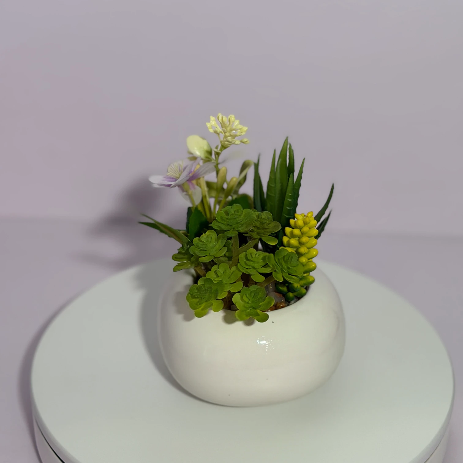 DR0130 (4) - Faux Succulent in Grey Pot