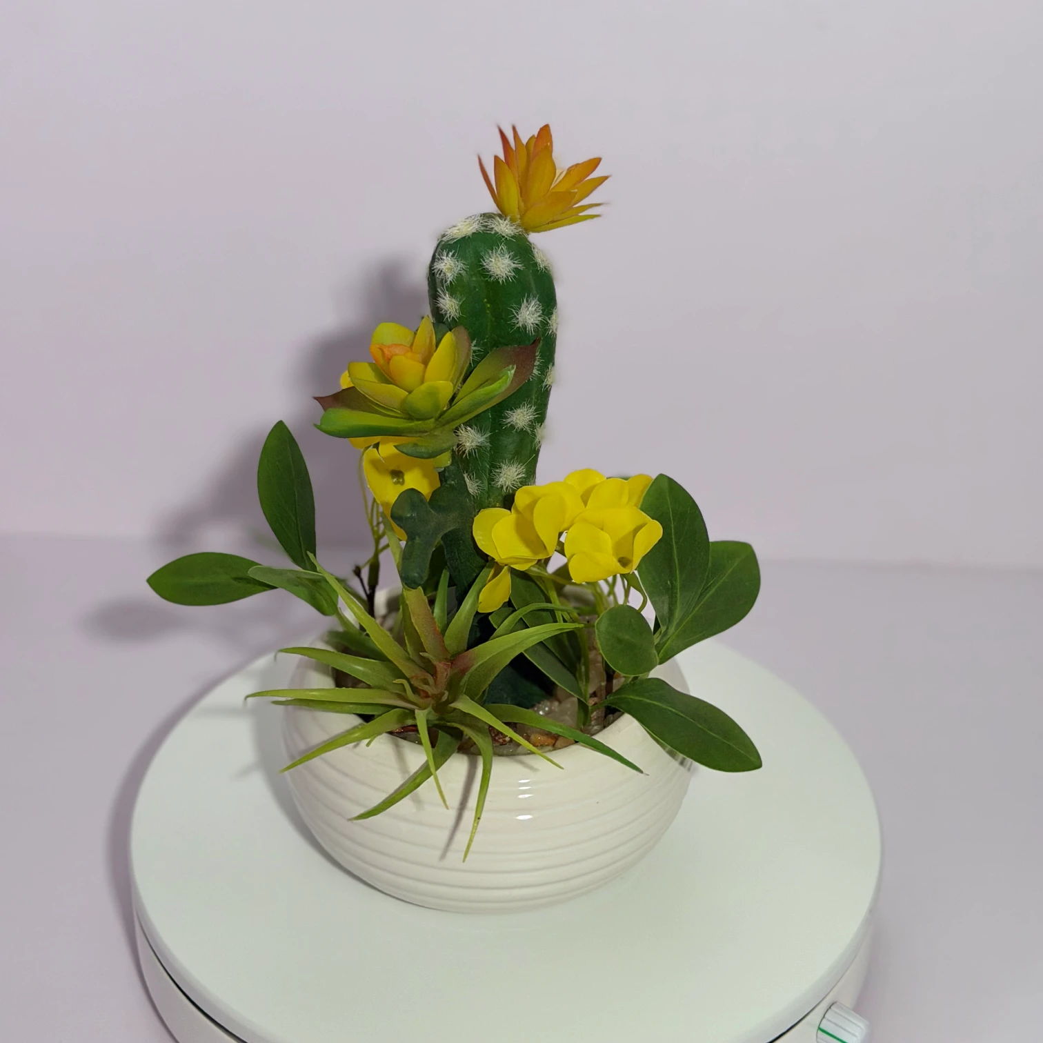 DR0132 (2) profile - Artificial Succulent Ornament