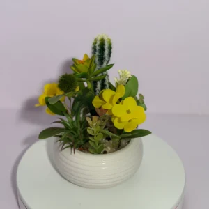 DR0135 (1) profile - Modern Potted Fake Succulent