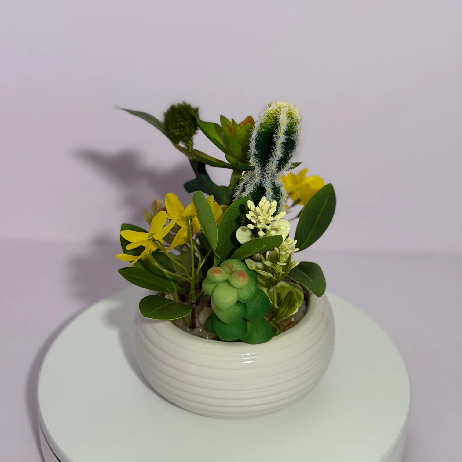 DR0135 (3) - Modern Potted Fake Succulent