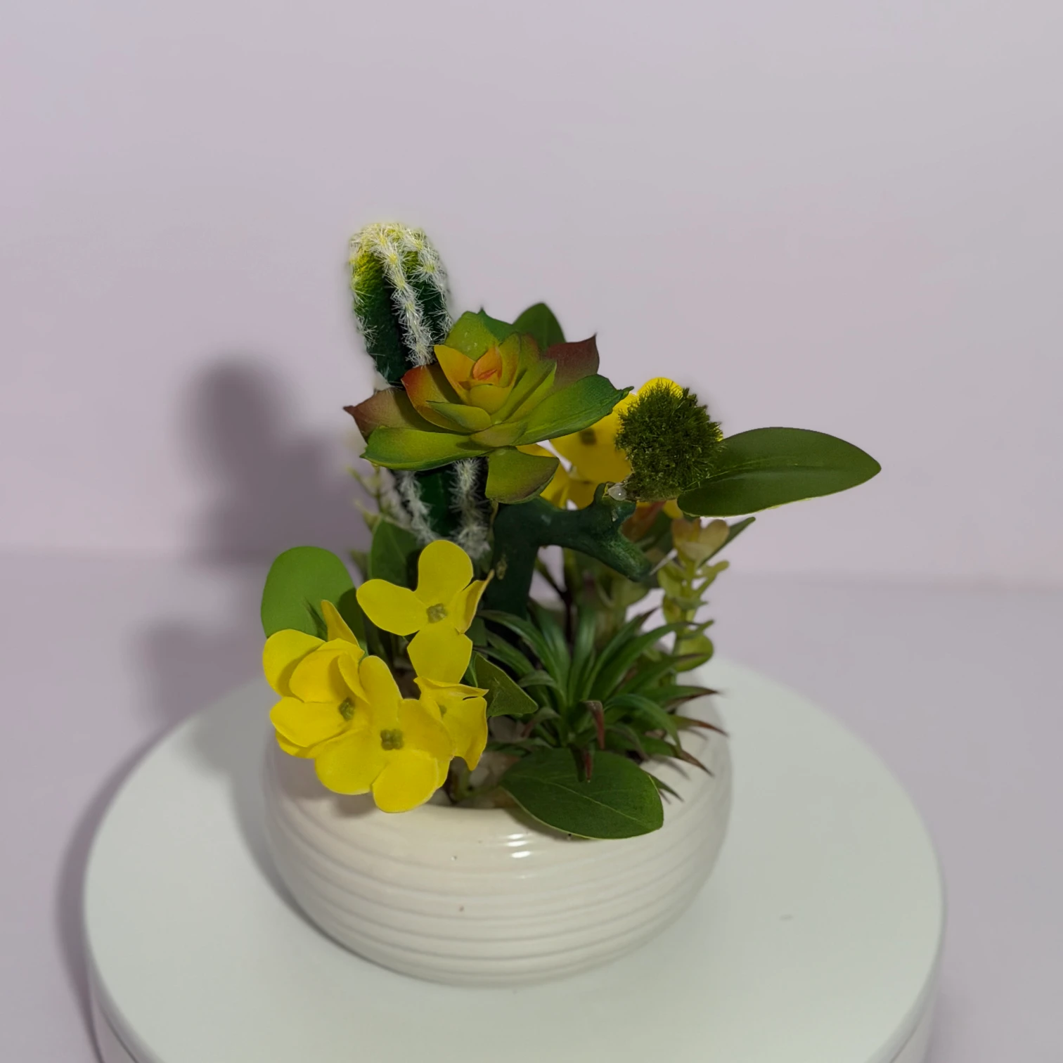 DR0135 (5) - Modern Potted Fake Succulent