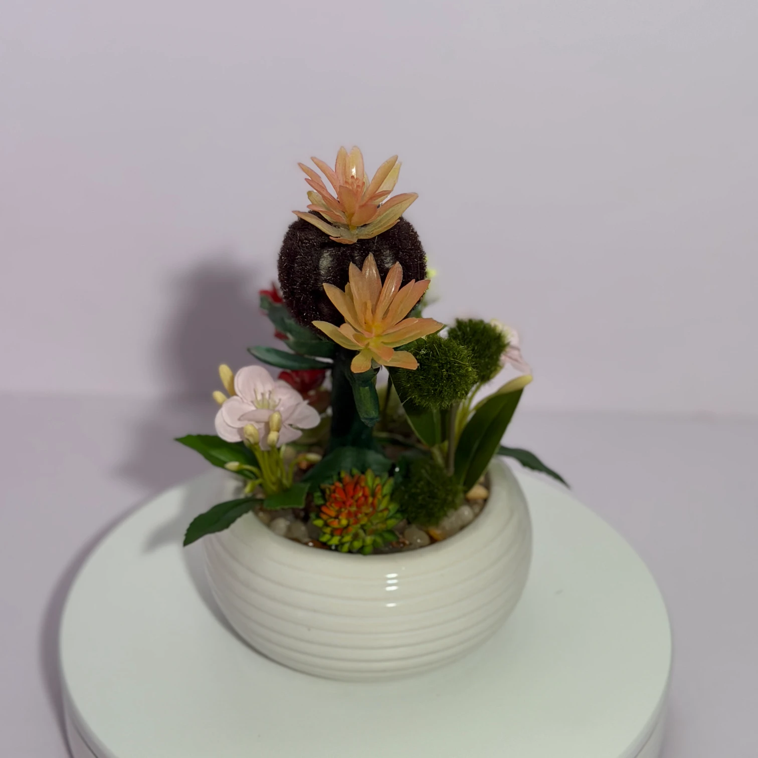 DR0136 (4) - Realistic Artificial Succulent