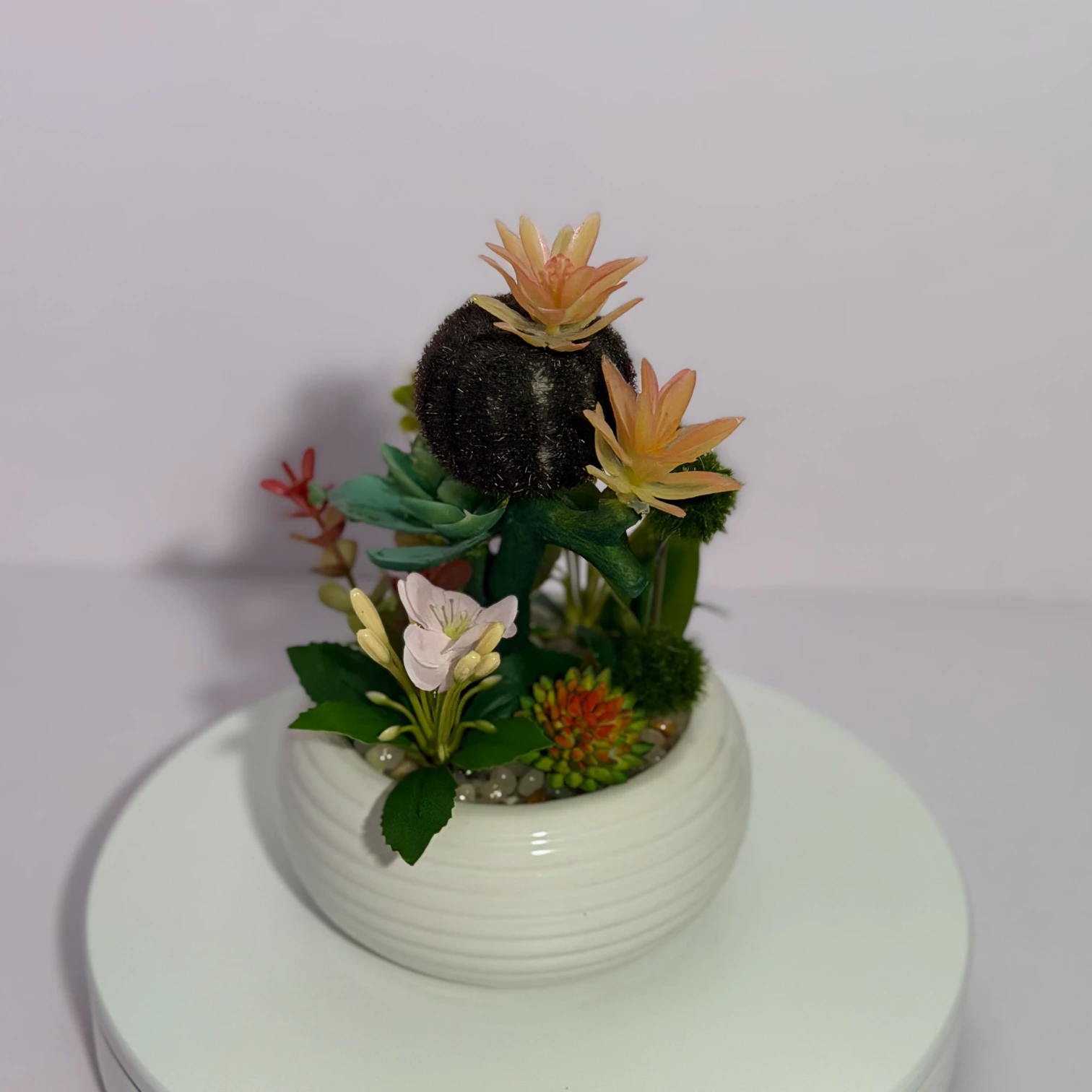 DR0136 (5) - Realistic Artificial Succulent