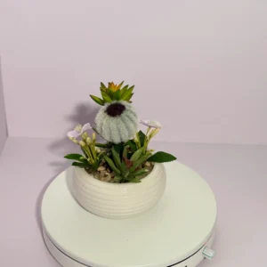DR0137 (4) profile - Fake Succulent Table Decor