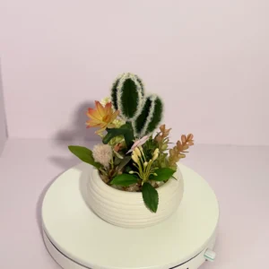 DR0138 (1) profile - Artificial Succulent in White Pot