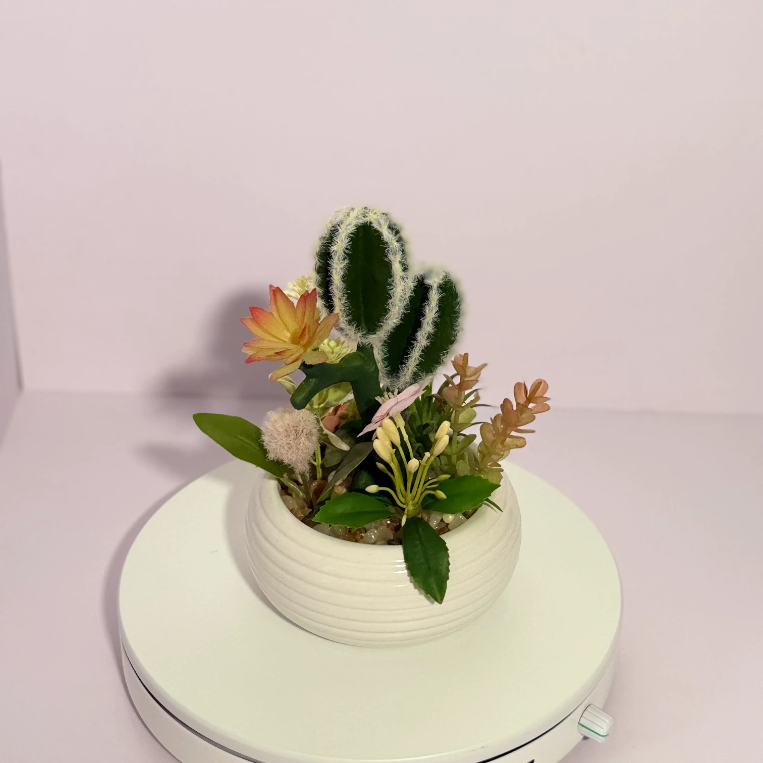 DR0138 (1) profile - Artificial Succulent in White Pot