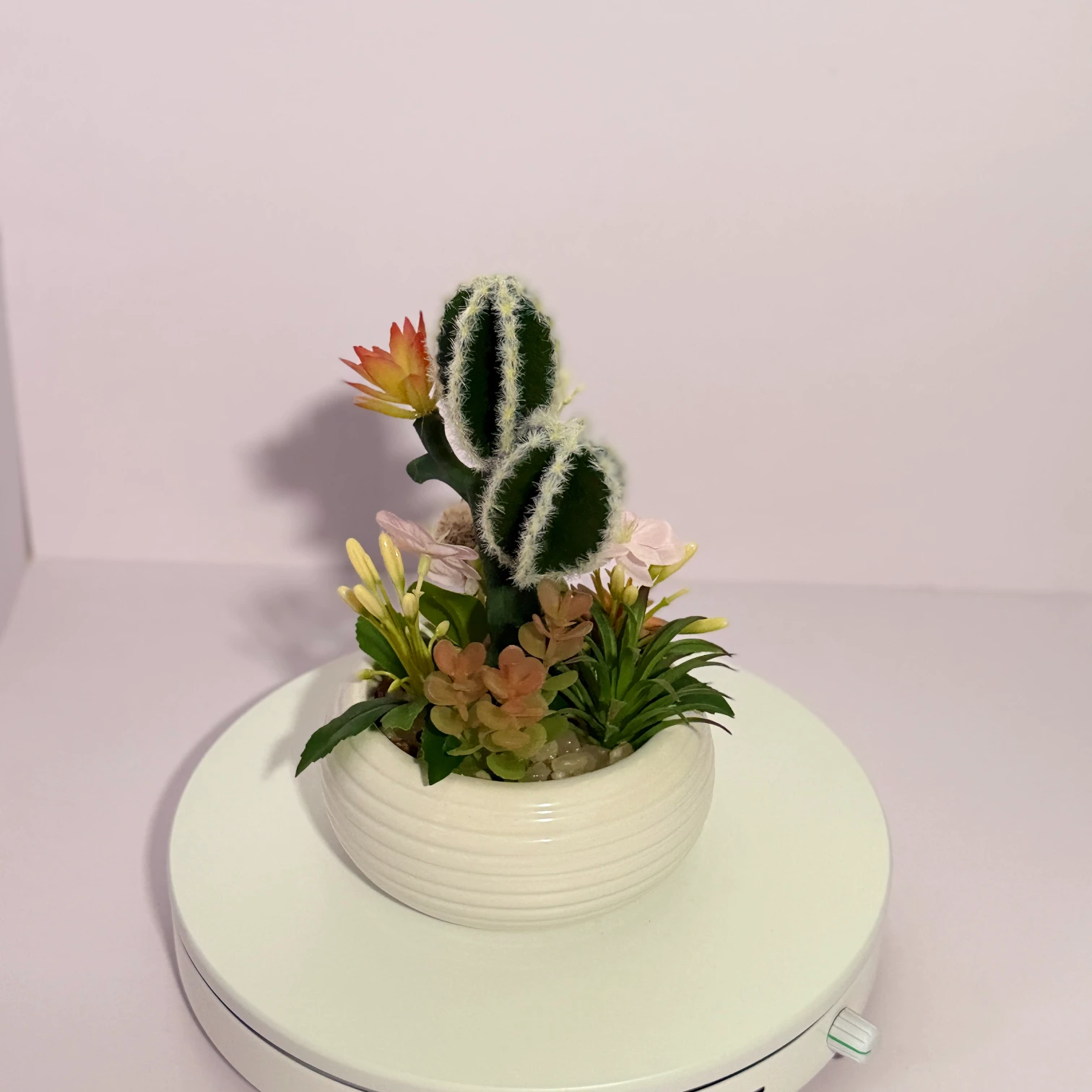 DR0138 (2) - Artificial Succulent in White Pot