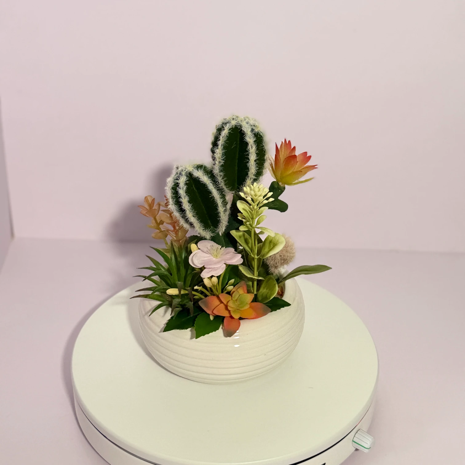 DR0138 (3) - Artificial Succulent in White Pot