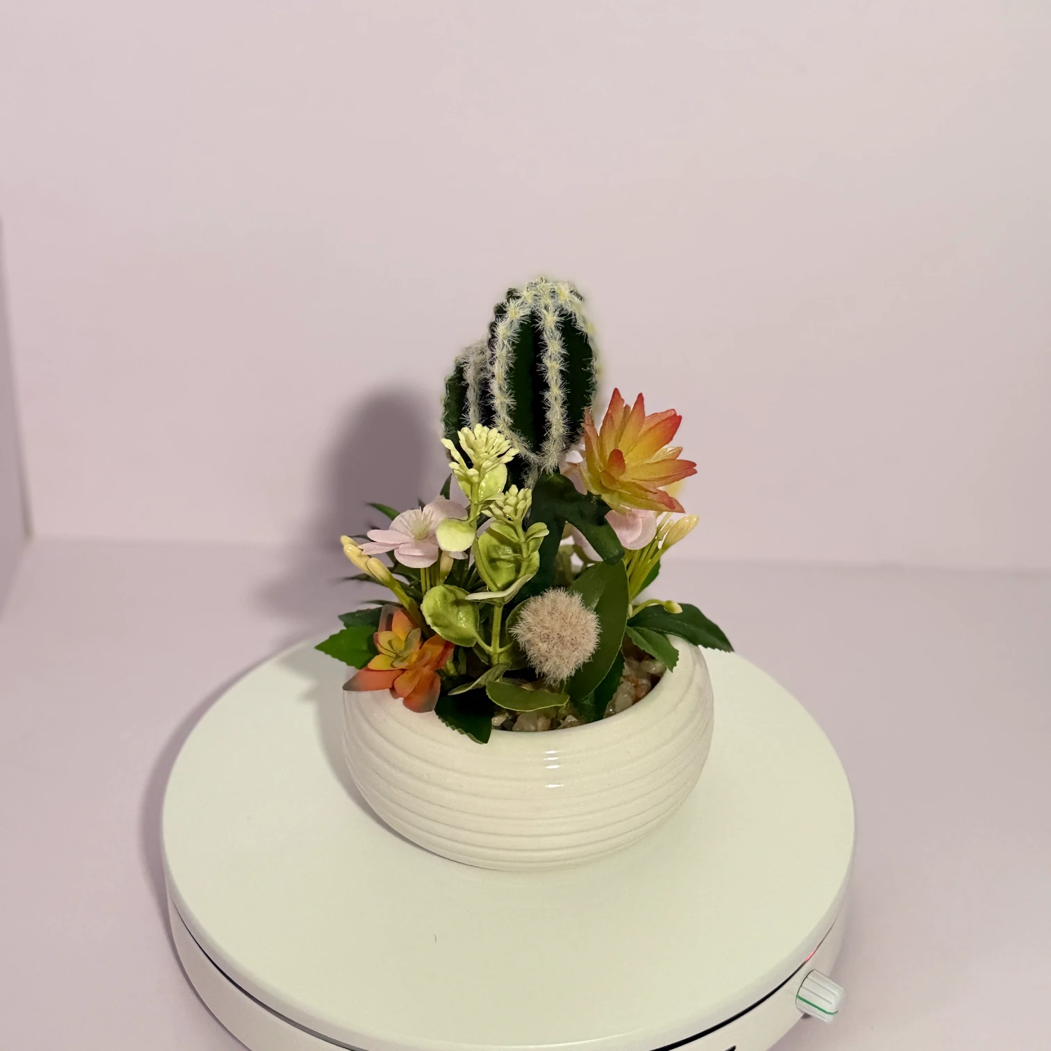 DR0138 (5) - Artificial Succulent in White Pot