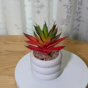 DR0139 (3) profile - Faux Succulent for Living Room