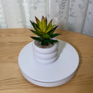 DR0140 (1) profile - Small Lifelike Succulent