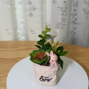 DR0144 (1) profile - Artificial Succulent Gift