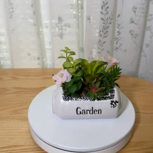 DR0145 (1) profile - Fake Succulent Home Accent