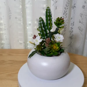 DR0148 (2) profile - Modern Artificial Succulent Mix