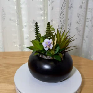 DR0149 (1) profile - Lifelike Fake Succulent Decor
