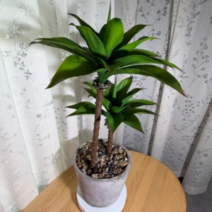 DR0153 (3) profile - Faux Succulent Office Decor