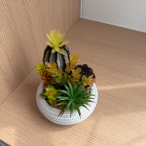 DR0154 (1) profile - Artificial Succulent Desk Plant