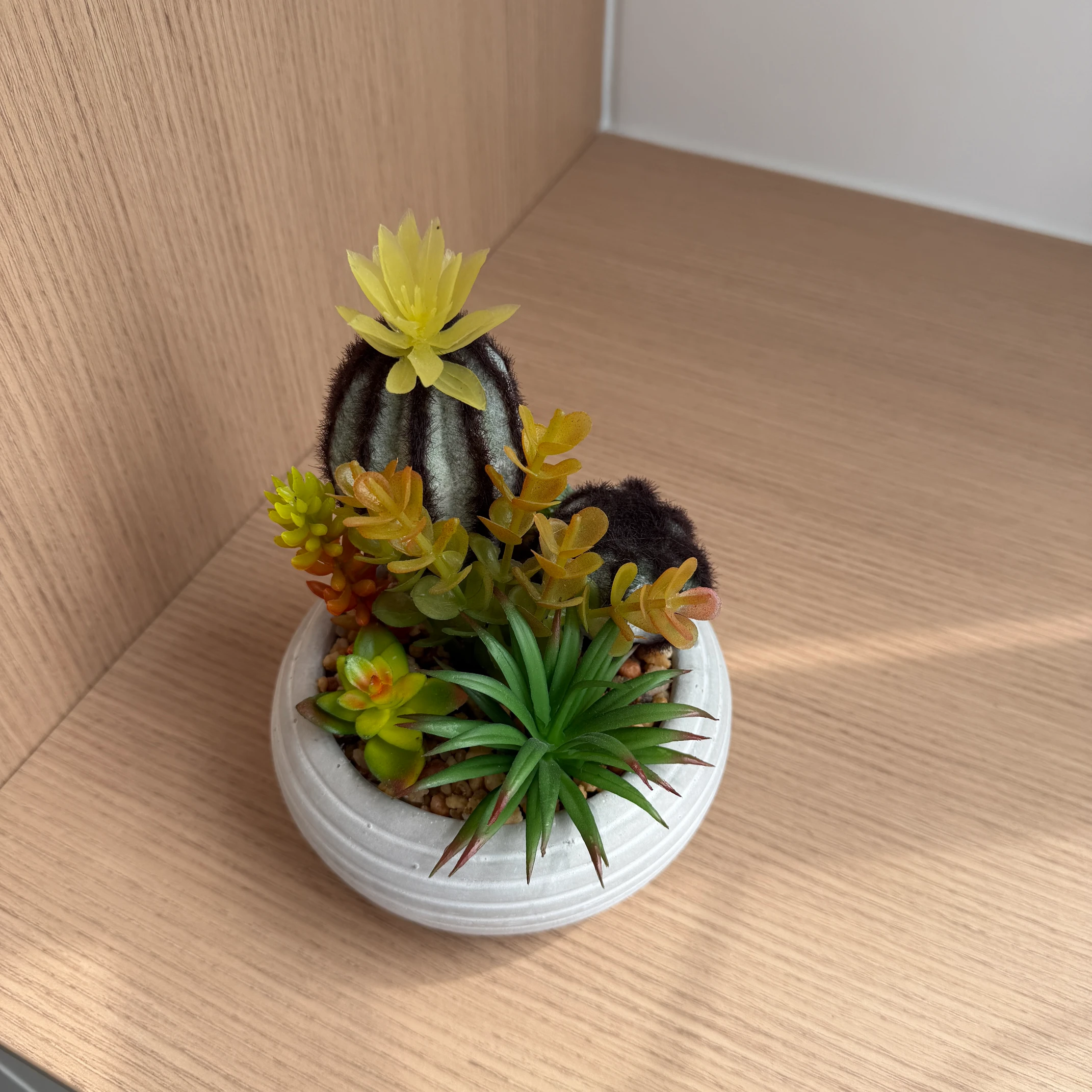 DR0154 (1) profile - Artificial Succulent Desk Plant