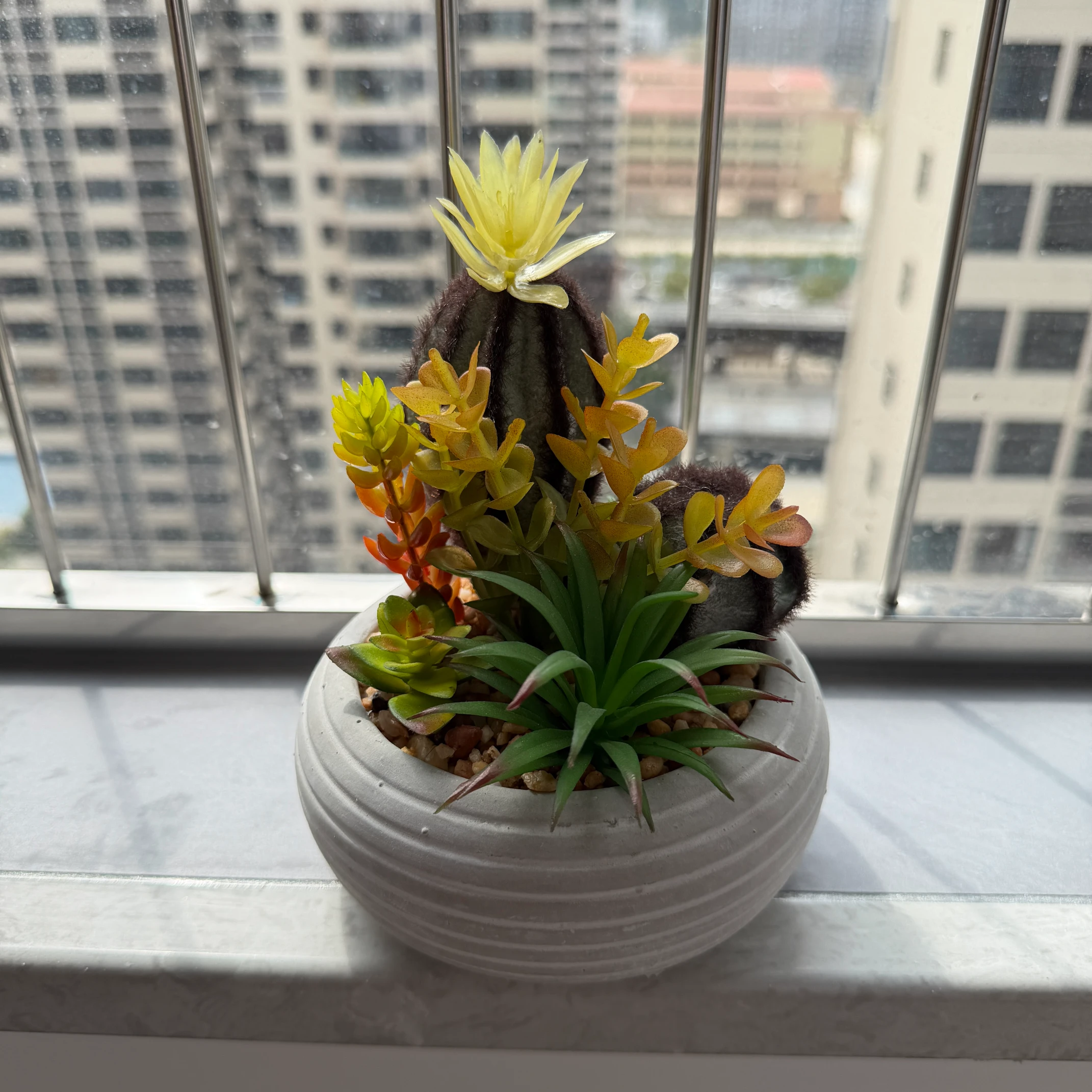 DR0154 (2) - Artificial Succulent Desk Plant