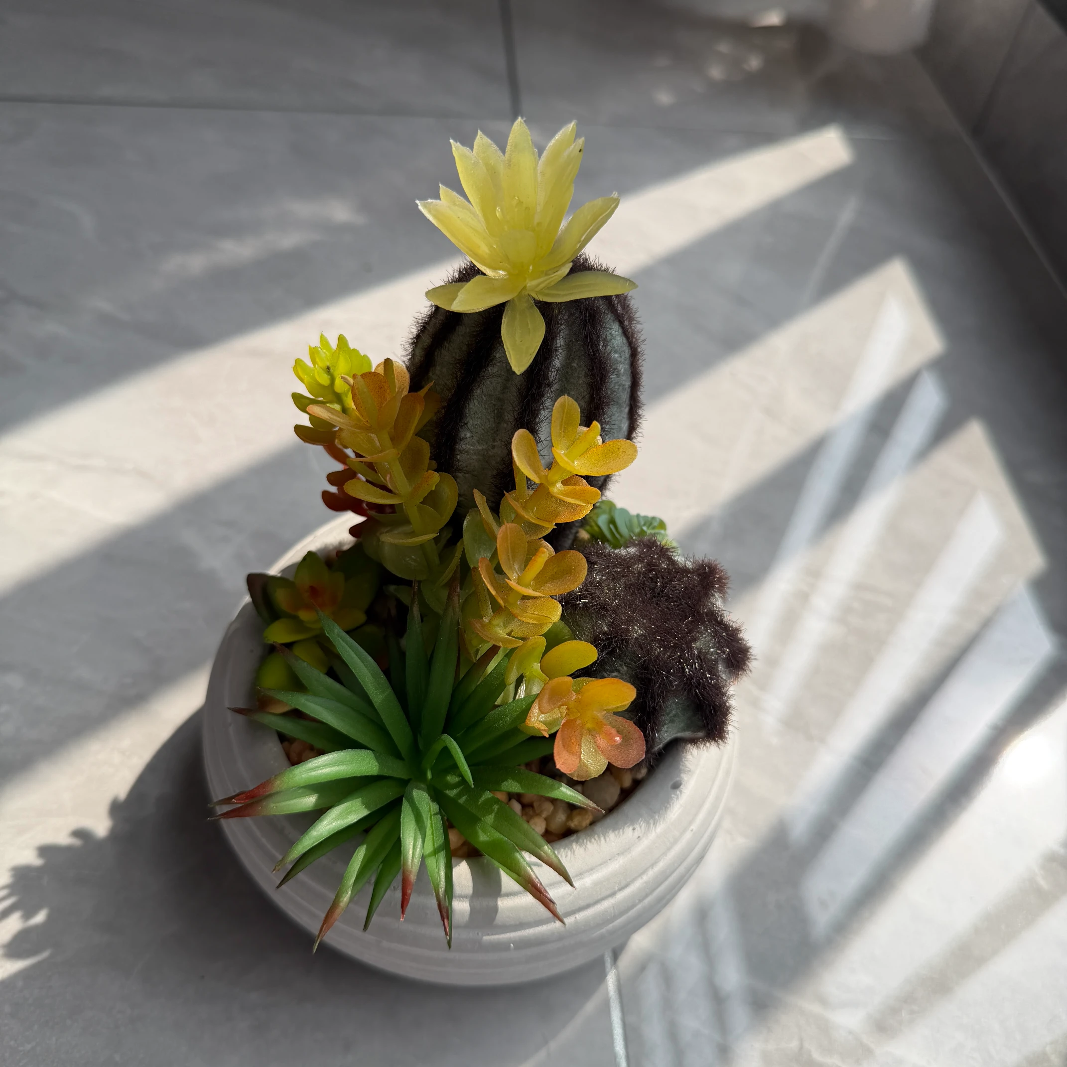 DR0154 (6) - Artificial Succulent Desk Plant