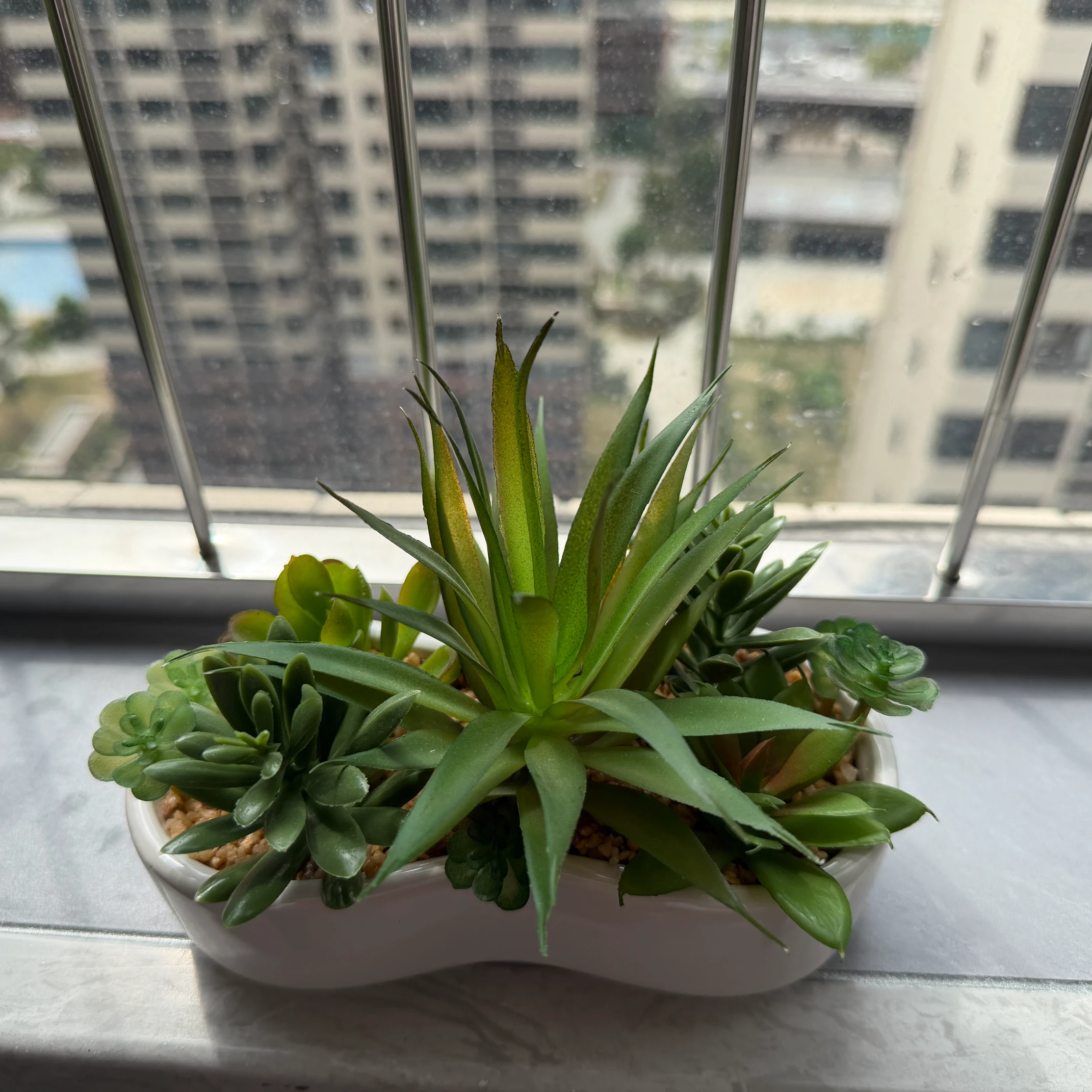 DR0155 (1) - Realistic Fake Succulent Pot