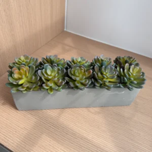 DR0156 (3) profile - Small Artificial Succulent